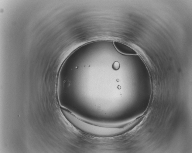 X0000086901244200704231145