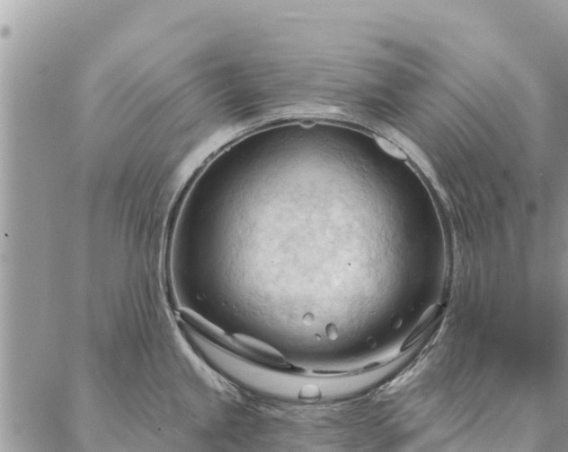 X0000086901245200704231145