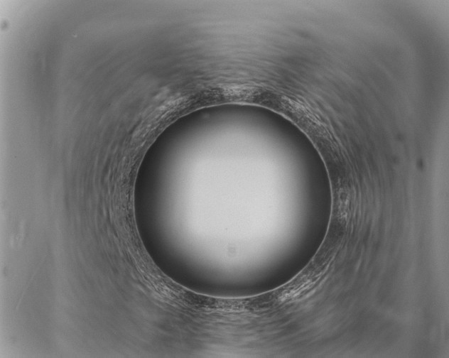 X0000086901249200704231144