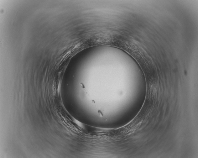 X0000086901250200704231144