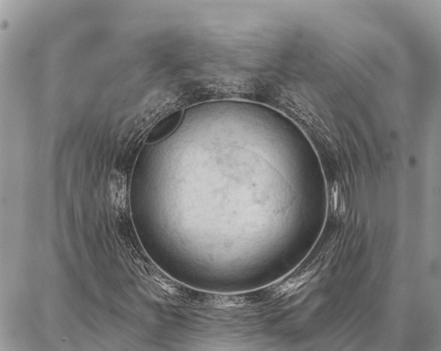 X0000086901251200704231144