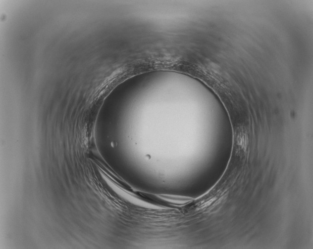 X0000086901252200704231144