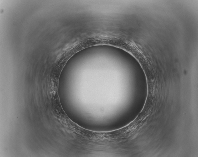 X0000086901253200704231144