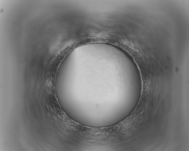 X0000086901254200704231144