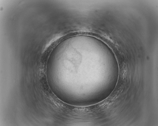 X0000086901255200704231144