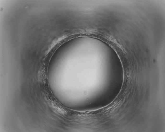 X0000086901256200704231144