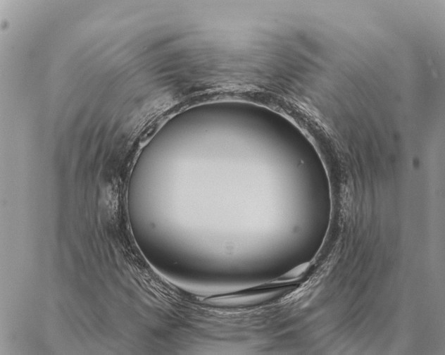 X0000086901257200704231144