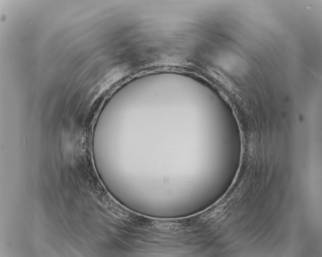 X0000086901258200704231144