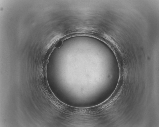 X0000086901259200704231144