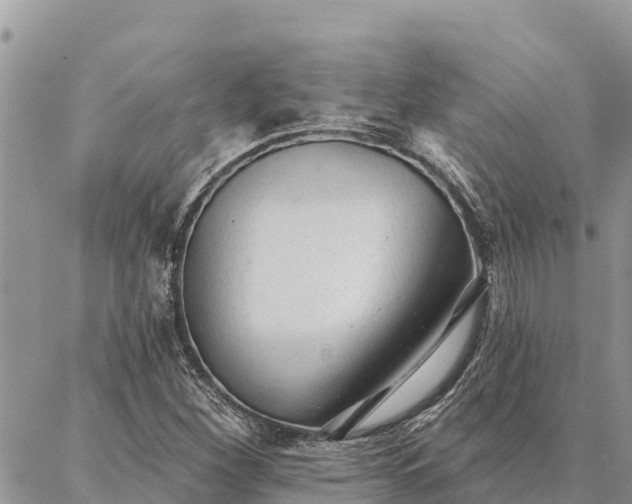 X0000086901260200704231144