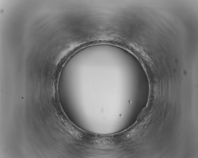 X0000086901262200704231144