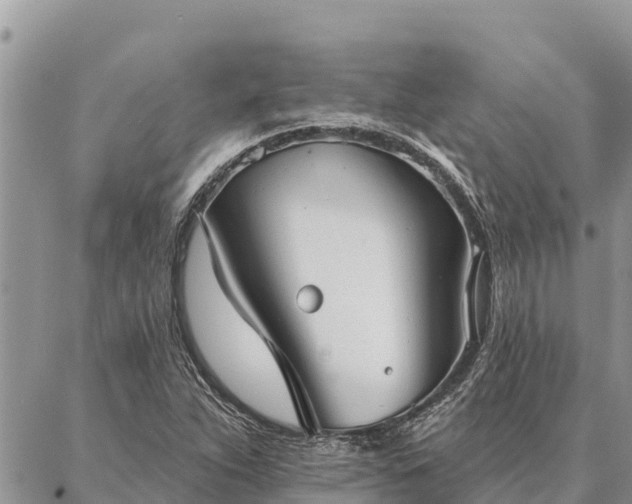 X0000086901263200704231144