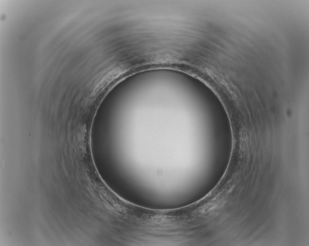 X0000086901265200704231144