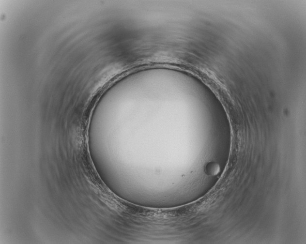 X0000086901266200704231144