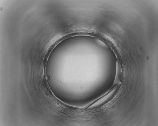 X0000086901267200704231144