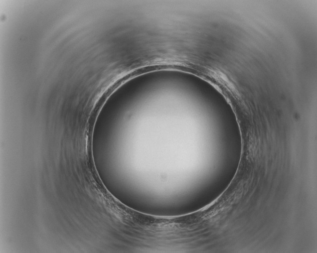 X0000086901268200704231144