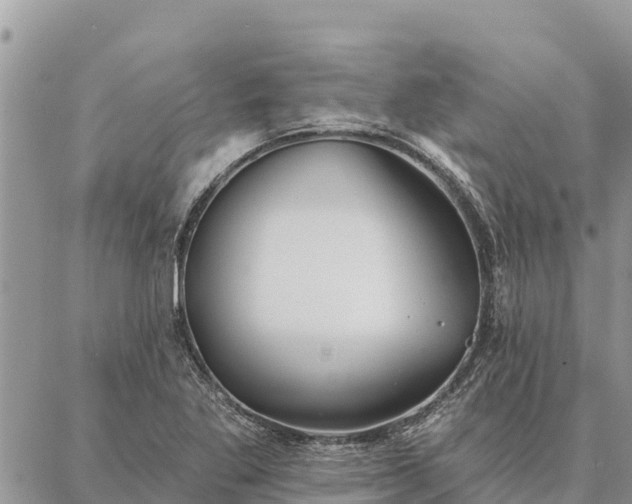 X0000086901269200704231144