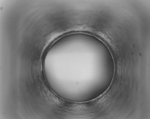 X0000086901270200704231144