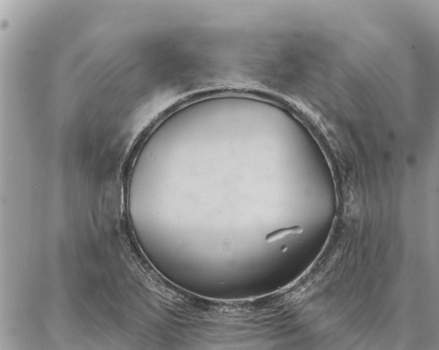 X0000086901271200704231144