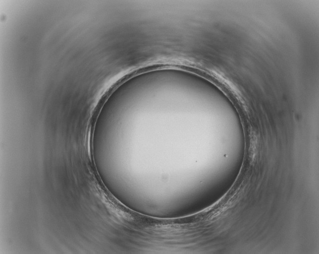 X0000086901272200704231144