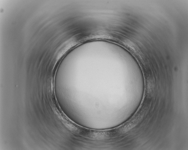 X0000086901274200704231144