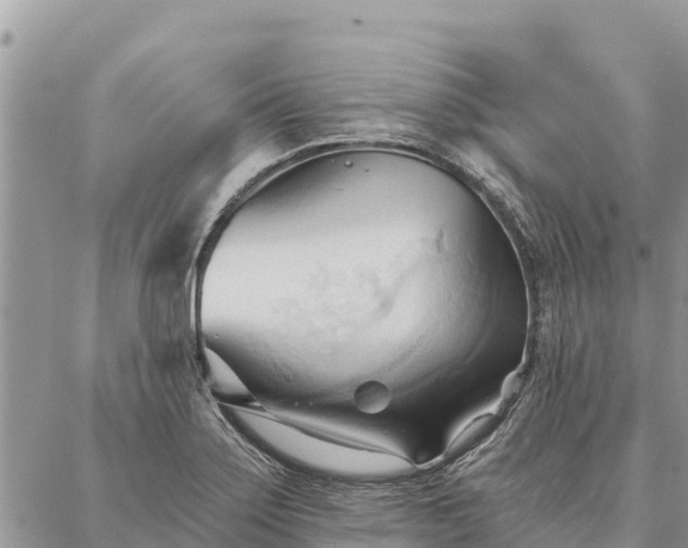 X0000086901275200704231144