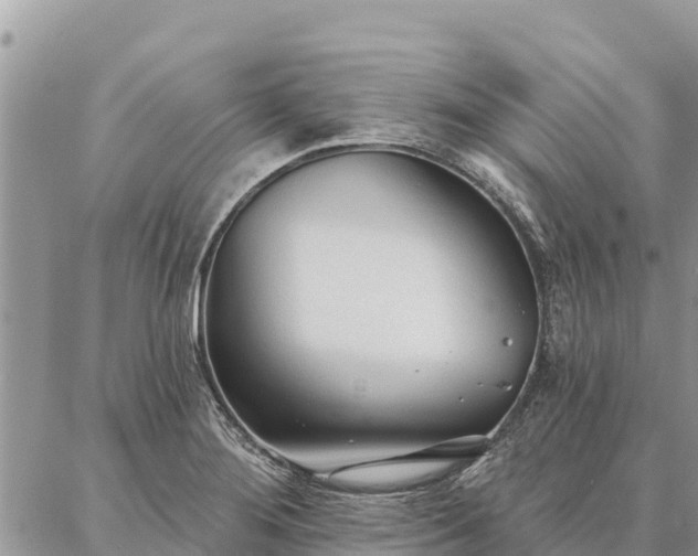 X0000086901276200704231144