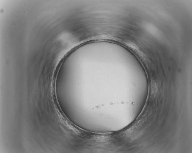 X0000086901278200704231144