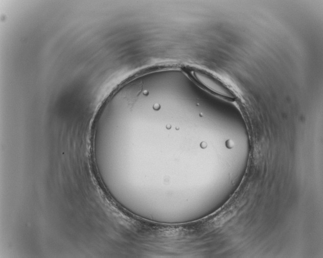 X0000086901279200704231144