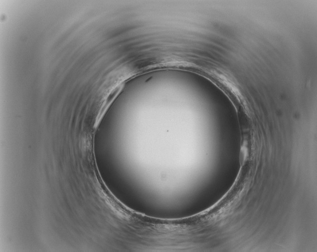 X0000086901281200704231144