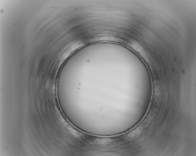 X0000086901282200704231144