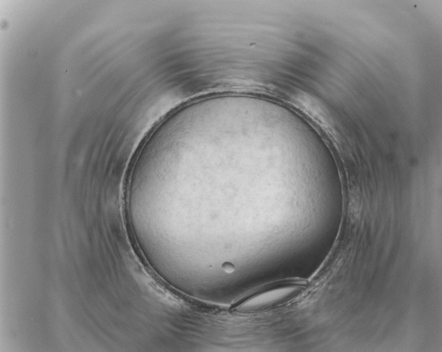 X0000086901283200704231144