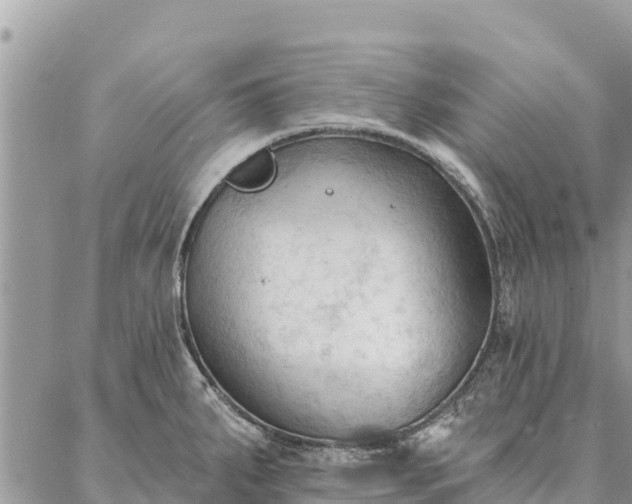 X0000086901287200704231144