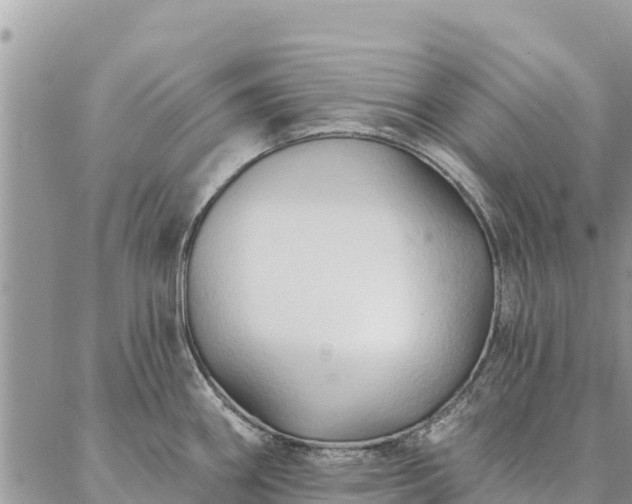 X0000086901290200704231144