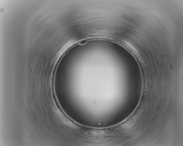 X0000086901291200704231144