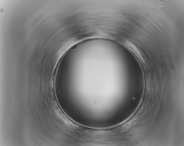 X0000086901292200704231144