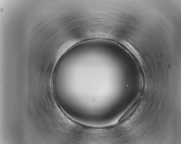 X0000086901293200704231144