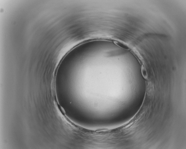 X0000086901295200704231144