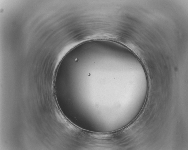 X0000086901296200704231144