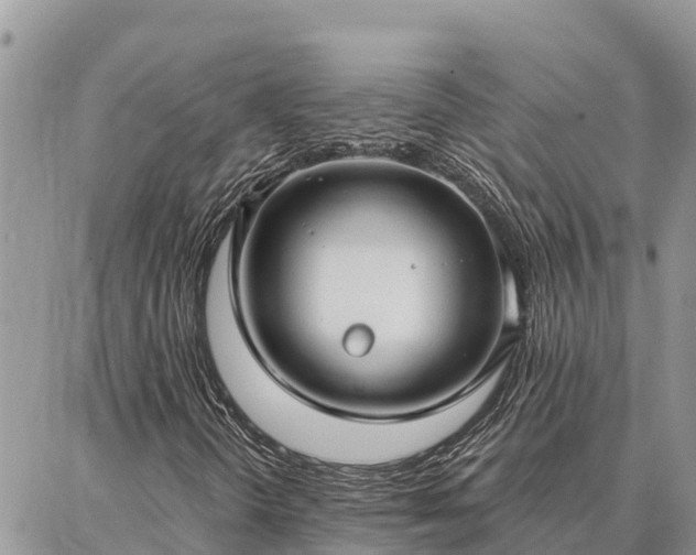 X0000086901298200704231143