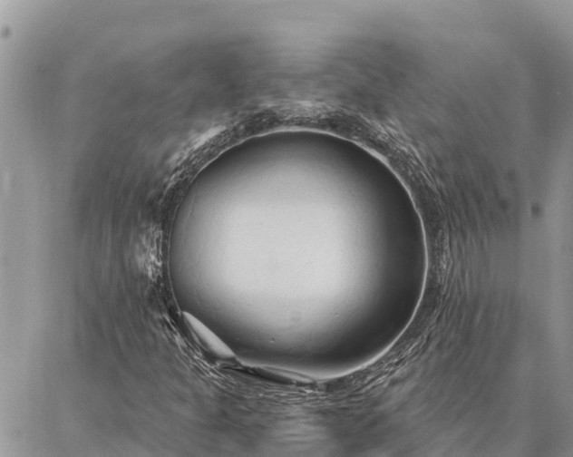 X0000086901301200704231143