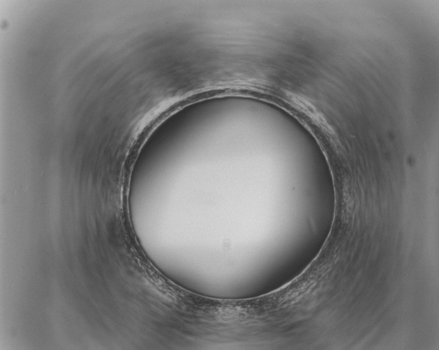 X0000086901316200704231143