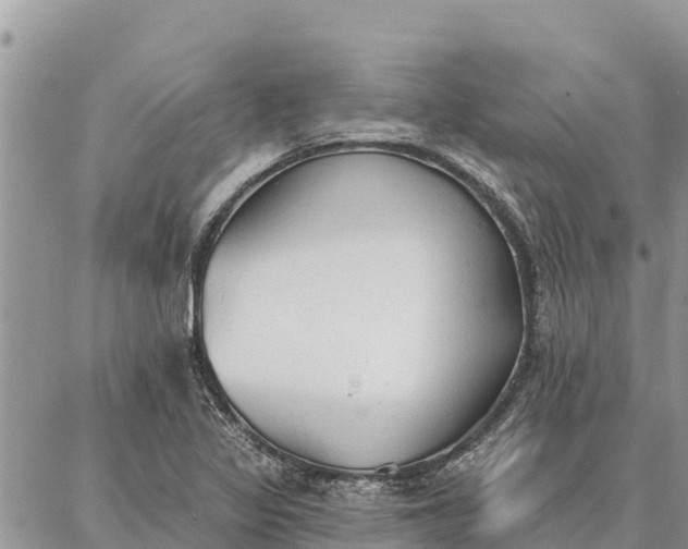 X0000086901317200704231143