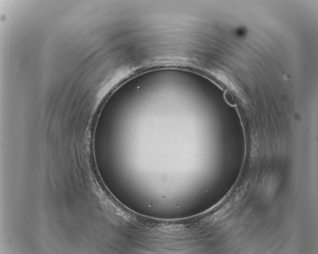 X0000086901325200704231143