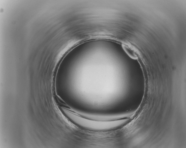 X0000086901333200704231143