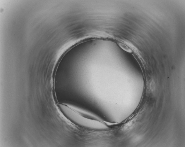 X0000086901335200704231143