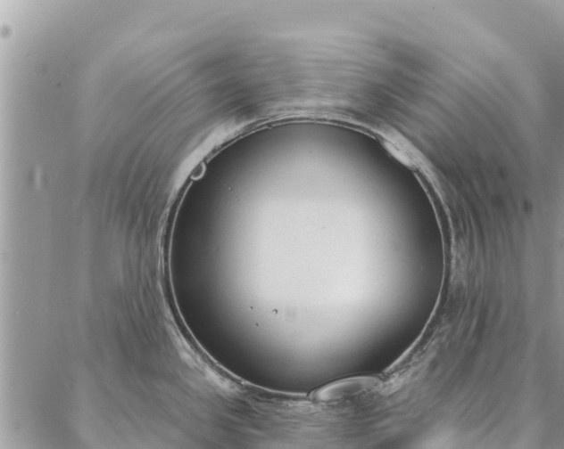 X0000086901341200704231144