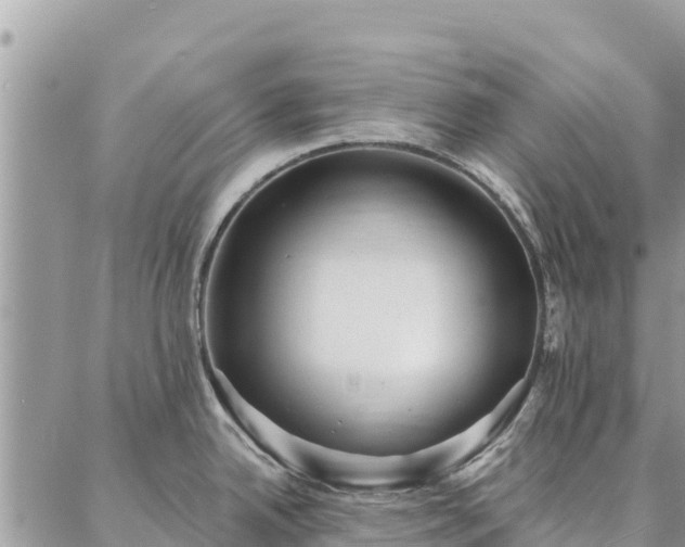 X0000086901342200704231144