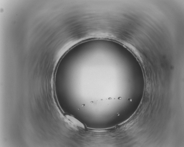 X0000086901343200704231144