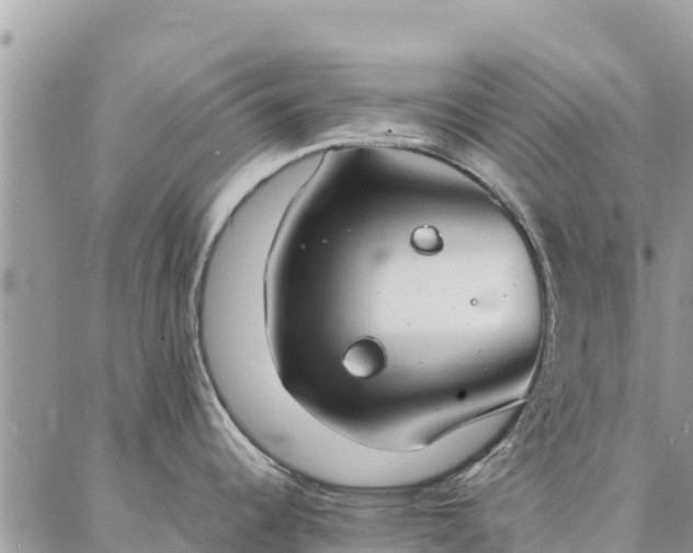 X0000086901344200704231144